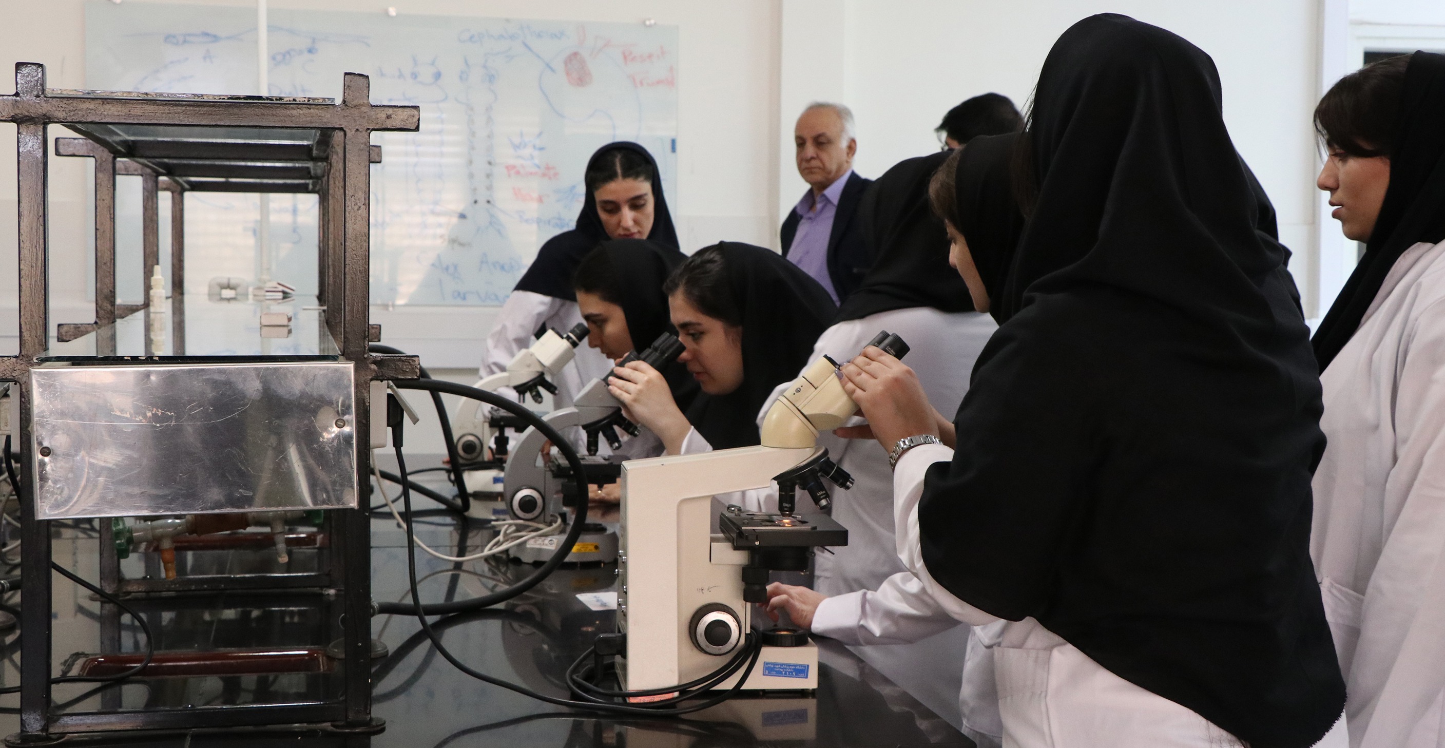 آزمایشگاه دانشکده بهداشت و ایمنی